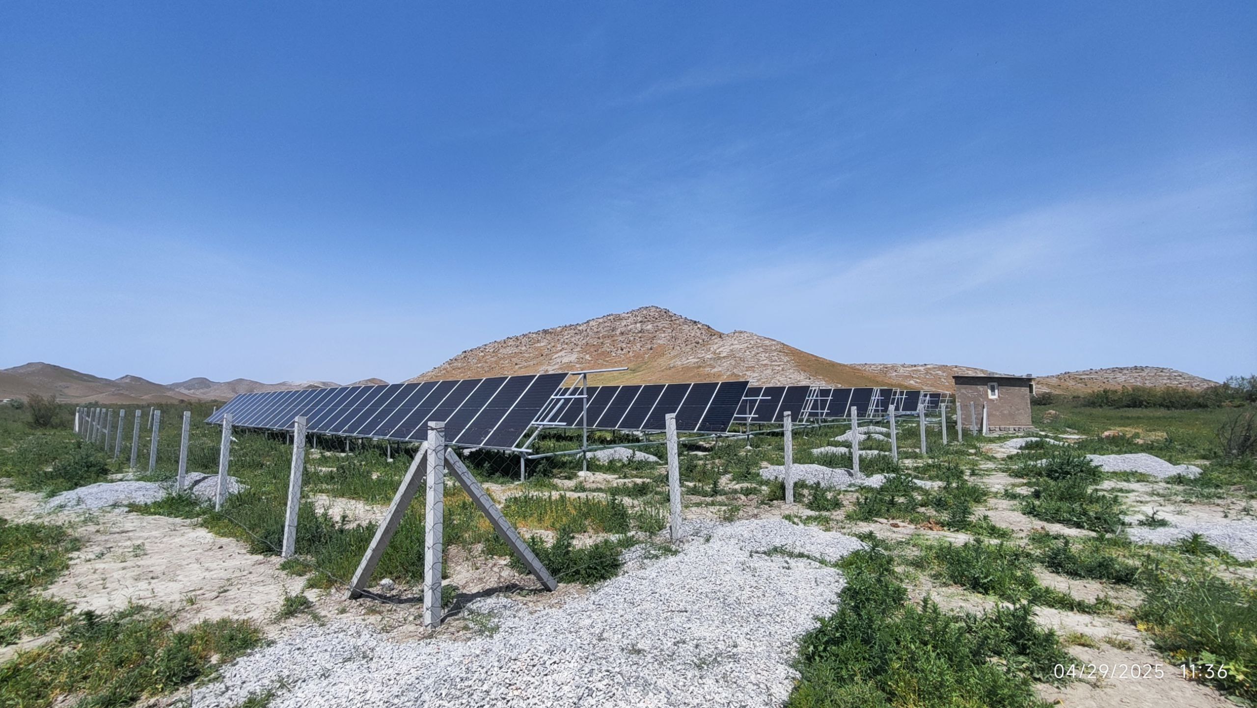 SH.Rashidov tumanidagi fermer xo'jaligi